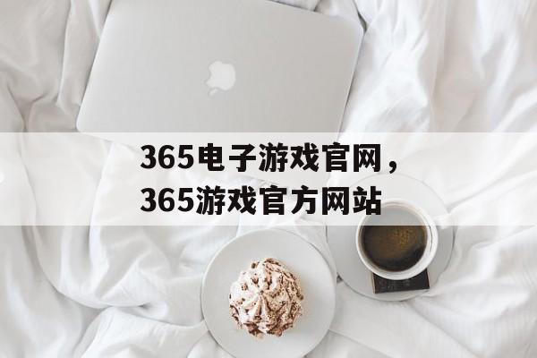 365电子游戏官网，365游戏官方网站